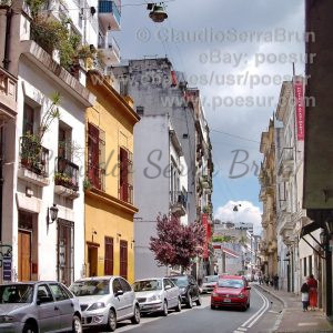 11 S New Orleans United we stand